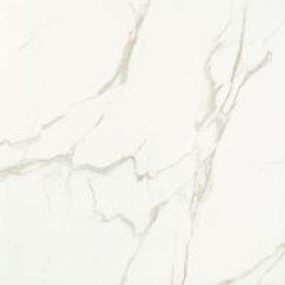 Gạch Trường Thịnh BLACK & WHITE FASHION Y980853P